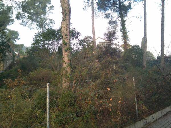 Terreno en sant ponç