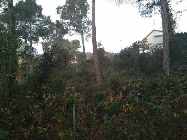 Terreno en sant ponç