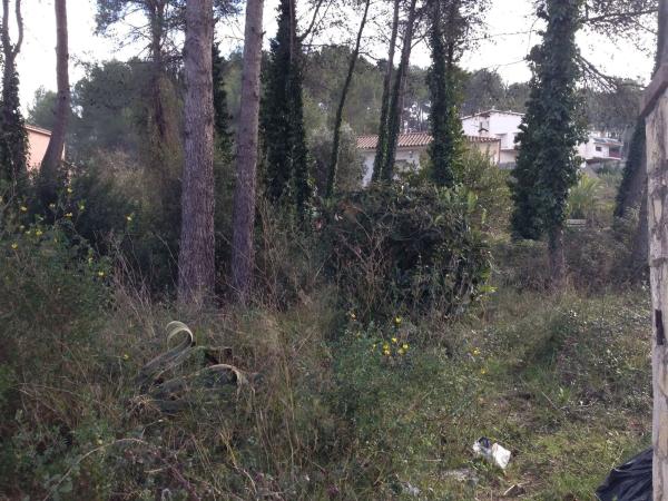 Terreno en calle 6 santa mª de la vall, 20 Parcelan