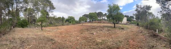 Terreno en calle d'abelló s/n
