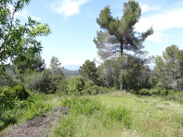Terreno en calle d'abelló s/n