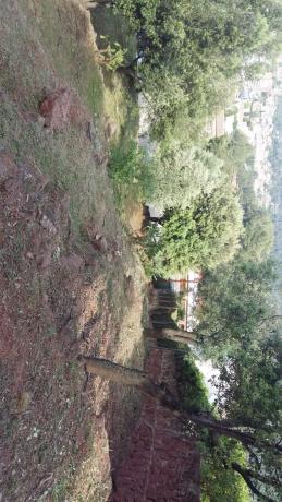 Terreno en calle santa gemma, 12