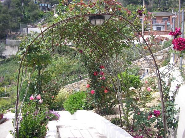 Terreno en calle de Sèneca, 9