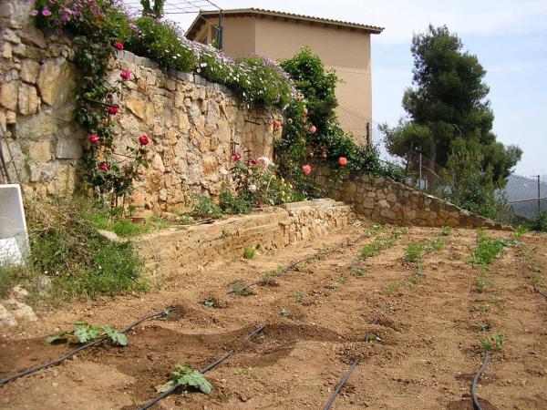 Terreno en calle de Sèneca, 9
