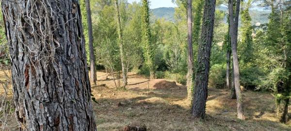 Terreno en avenida de les Cases Pairals, 125