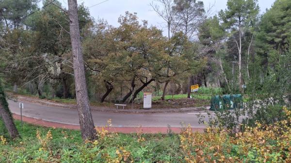 Terreno en avenida de les Cases Pairals, 125