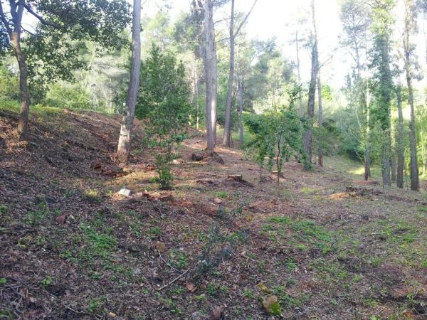 Terreno en avenida de les Cases Pairals, 125