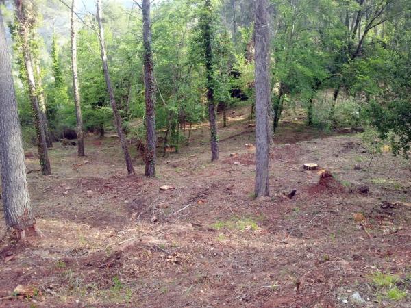 Terreno en avenida de les Cases Pairals, 125