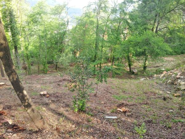 Terreno en avenida de les Cases Pairals, 125