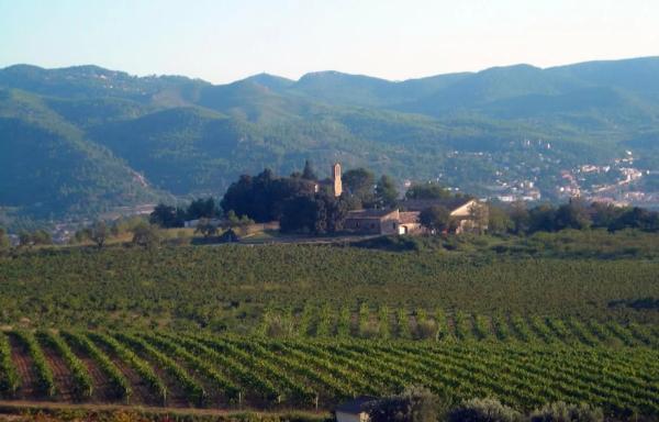 Terreno en calle Montau, 28