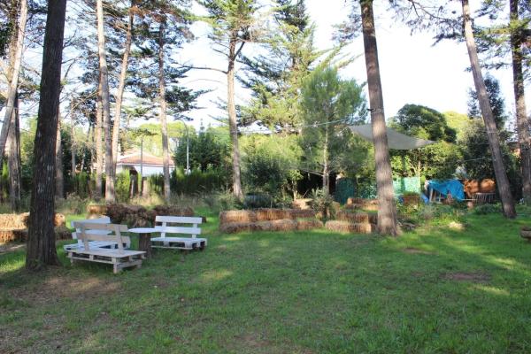 Terreno en avenida Torres Vilaró