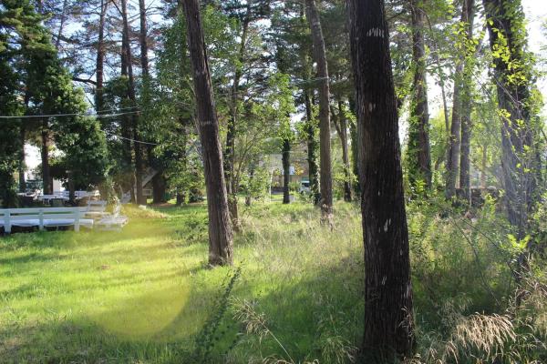 Terreno en avenida Torres Vilaró