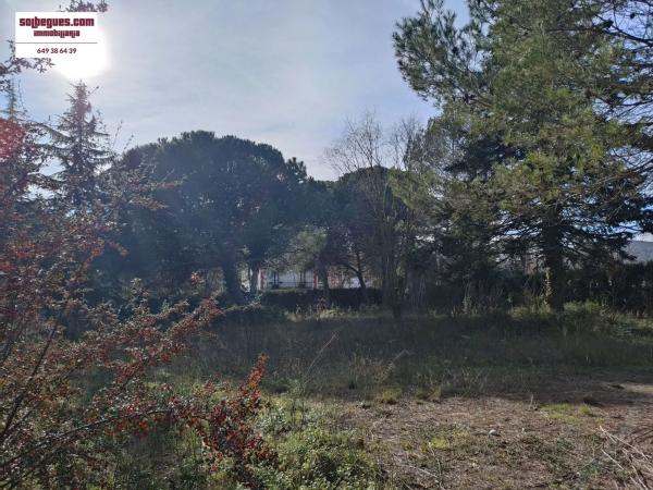 Terreno en Begues