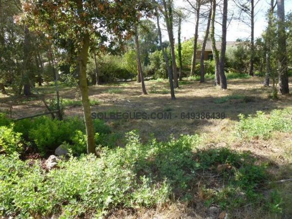 Terreno en Begues