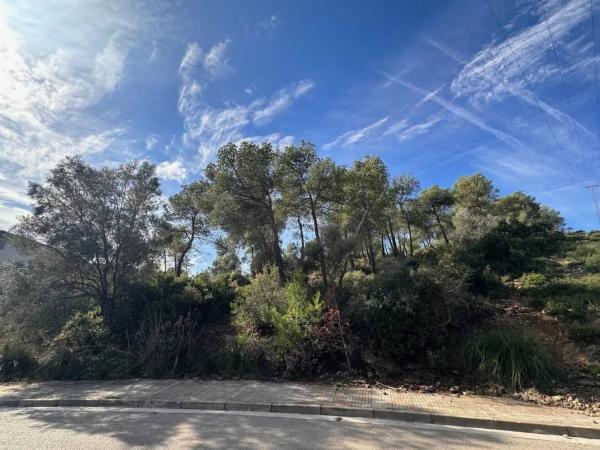 Terreno en calle Túria, 35 -27