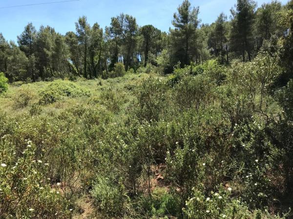 Terreno en calle Pou Nou