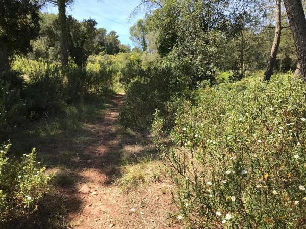 Terreno en calle Pou Nou