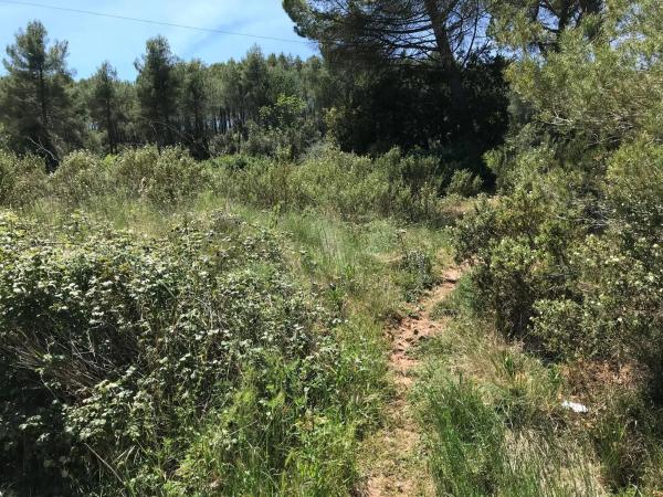 Terreno en calle Pou Nou