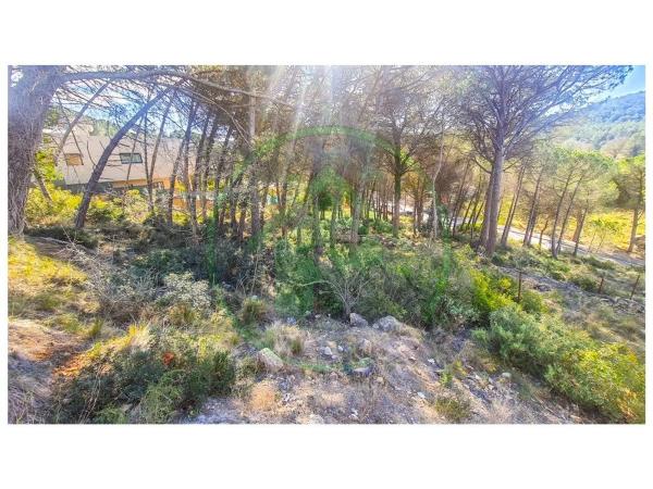 Terreno en Begues