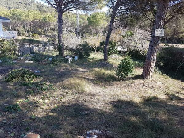 Terreno en calle Tajo, 14