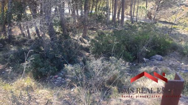 Terreno en avenida Costeta