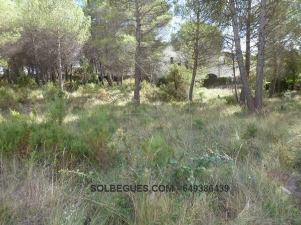 Terreno en Begues