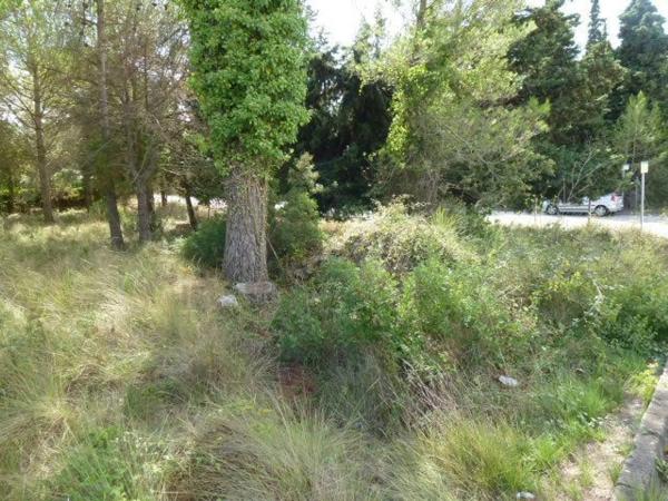 Terreno en Begues
