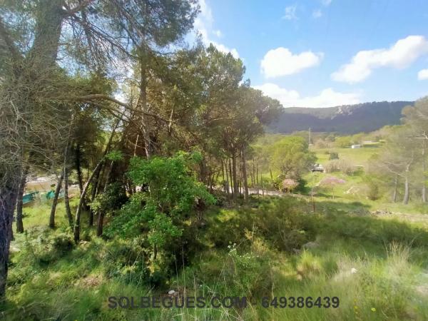 Terreno en Begues