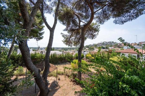 Terreno en avenida 303, 120