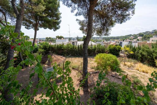 Terreno en avenida 303, 120