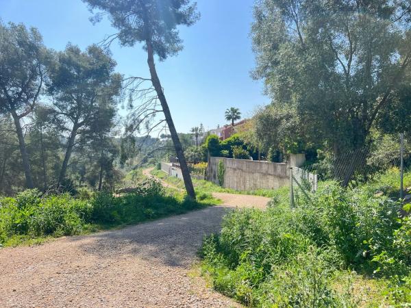 Terreno en paseo de Can Solé