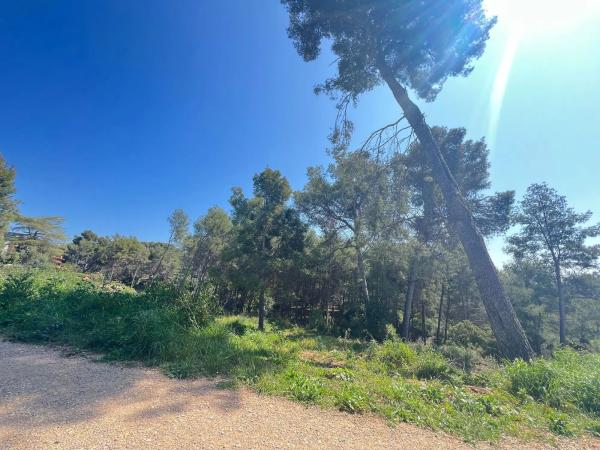 Terreno en paseo de Can Solé