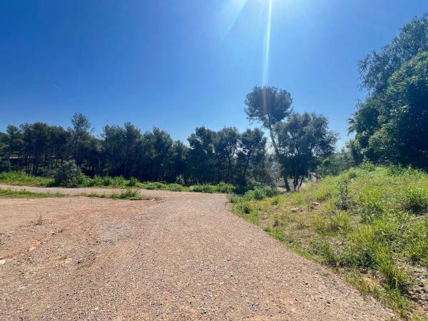 Terreno en paseo de Can Solé