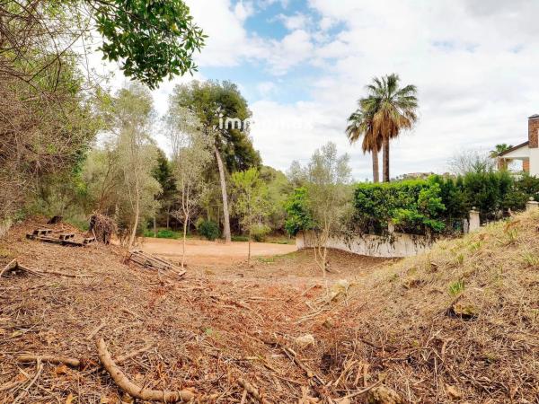 Terreno en paseo de Can Solé