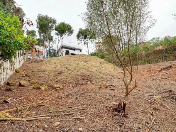 Terreno en paseo de Can Solé