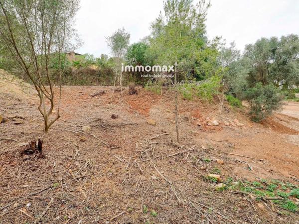 Terreno en paseo de Can Solé