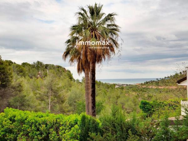 Terreno en paseo de Can Solé