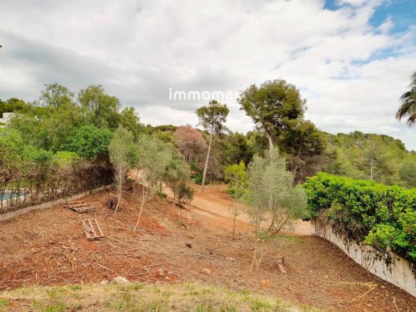 Terreno en paseo de Can Solé