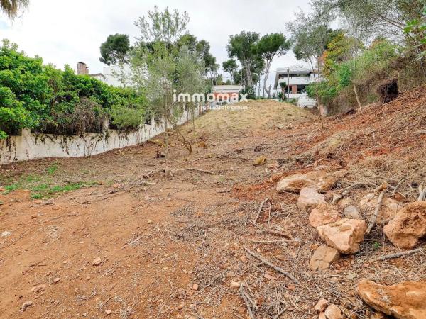 Terreno en paseo de Can Solé