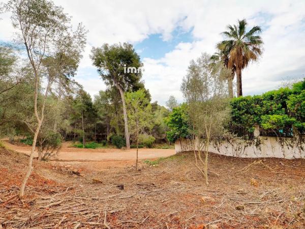 Terreno en paseo de Can Solé