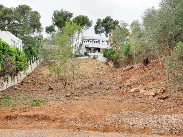 Terreno en paseo de Can Solé