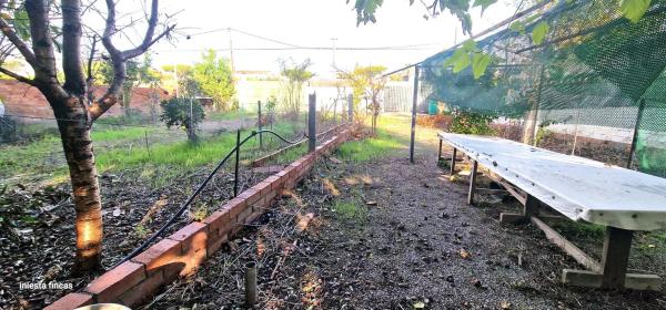Terreno en calle de Sevilla