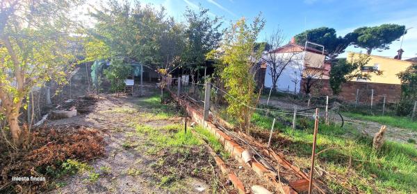 Terreno en calle de Sevilla