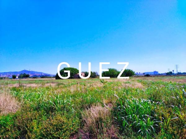 Terreno en camino de Can Ferrers