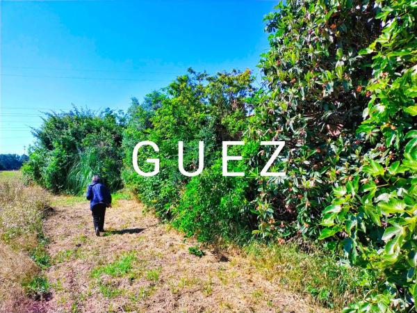 Terreno en camino de Can Ferrers