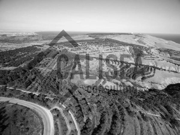 Terreno en avenida les Garrigues, 5