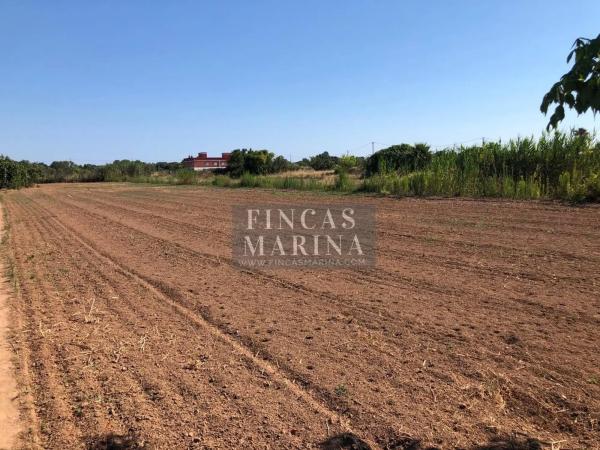 Terreno en via sense nom