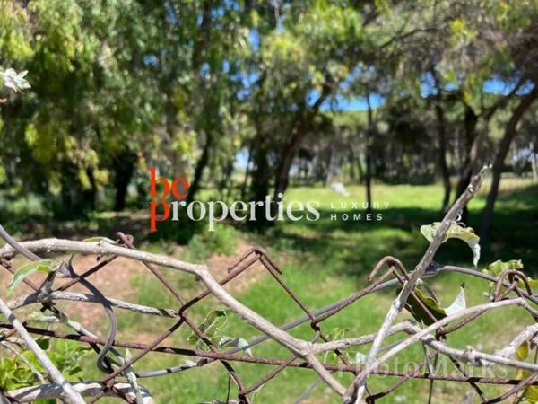 Terreno en camino Pineda