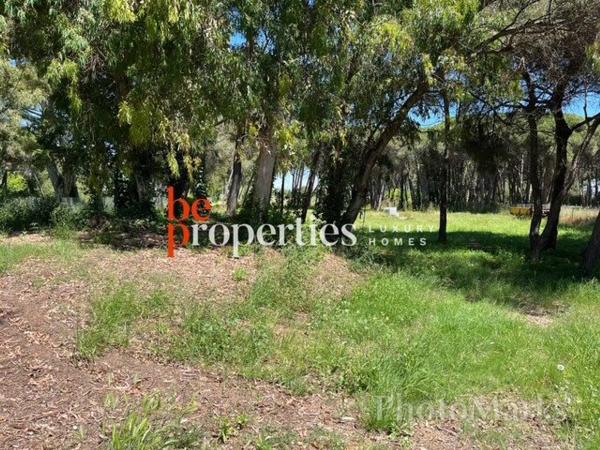 Terreno en camino Pineda