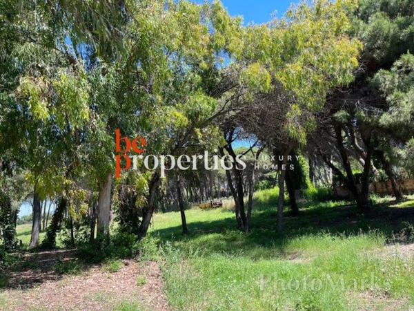 Terreno en camino Pineda